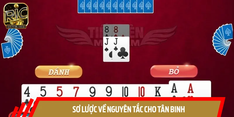 Sơ lược về nguyên tắc cho tân binh