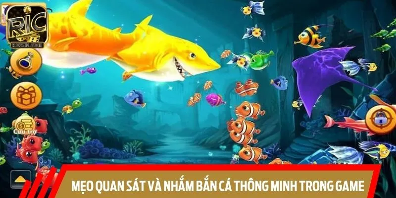 Bật mí mẹo quan sát và nhắm bắn cá chuẩn xác