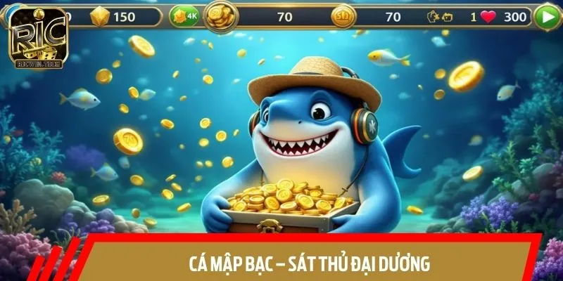 Cá mập bạc được mệnh danh là sát thủ đại dương