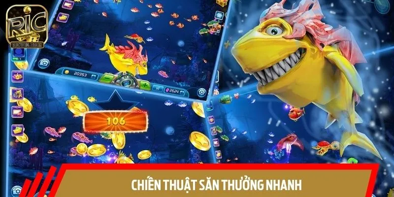 Bật mí mẹo săn thưởng siêu đỉnh cho bet thủ