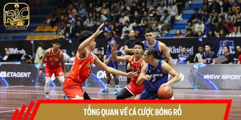 Tổng quan về hình thức dự đoán bóng rổ