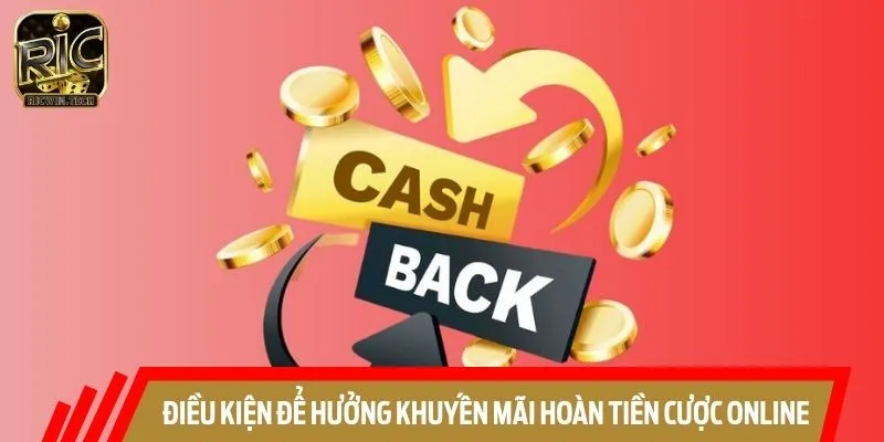 Thành viên cần tìm hiểu các điều kiện để được hưởng khuyến mãi hoàn tiền