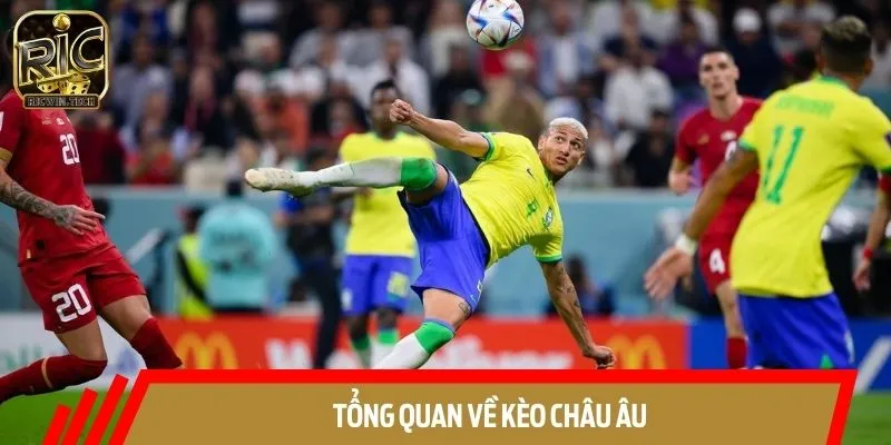 Tổng quan sơ lược về hình thức châu Âu