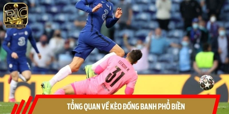 Tổng quan về hình thức tỷ lệ đồng banh